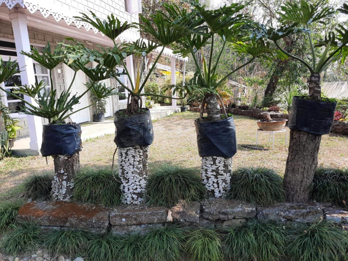 קלימפונג Aaravi Garden Homestay מראה חיצוני תמונה